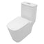 Sarlai White Ceramic Elongated Floor One Piece Bidet Toilet with Comfortable Seat