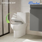 Sarlai White Elongated Modern One Piece Toilet - MTLD-153